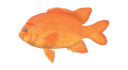 Garibaldi